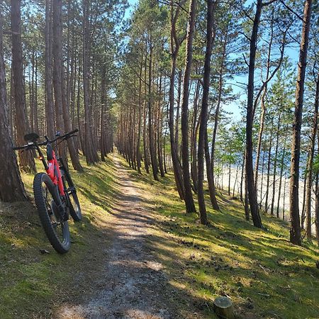 Domki Skowronki Kąty Rybackie エクステリア 写真