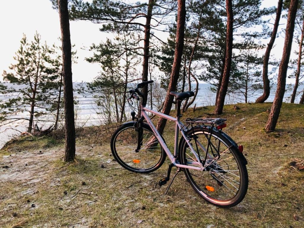Domki Skowronki Kąty Rybackie エクステリア 写真