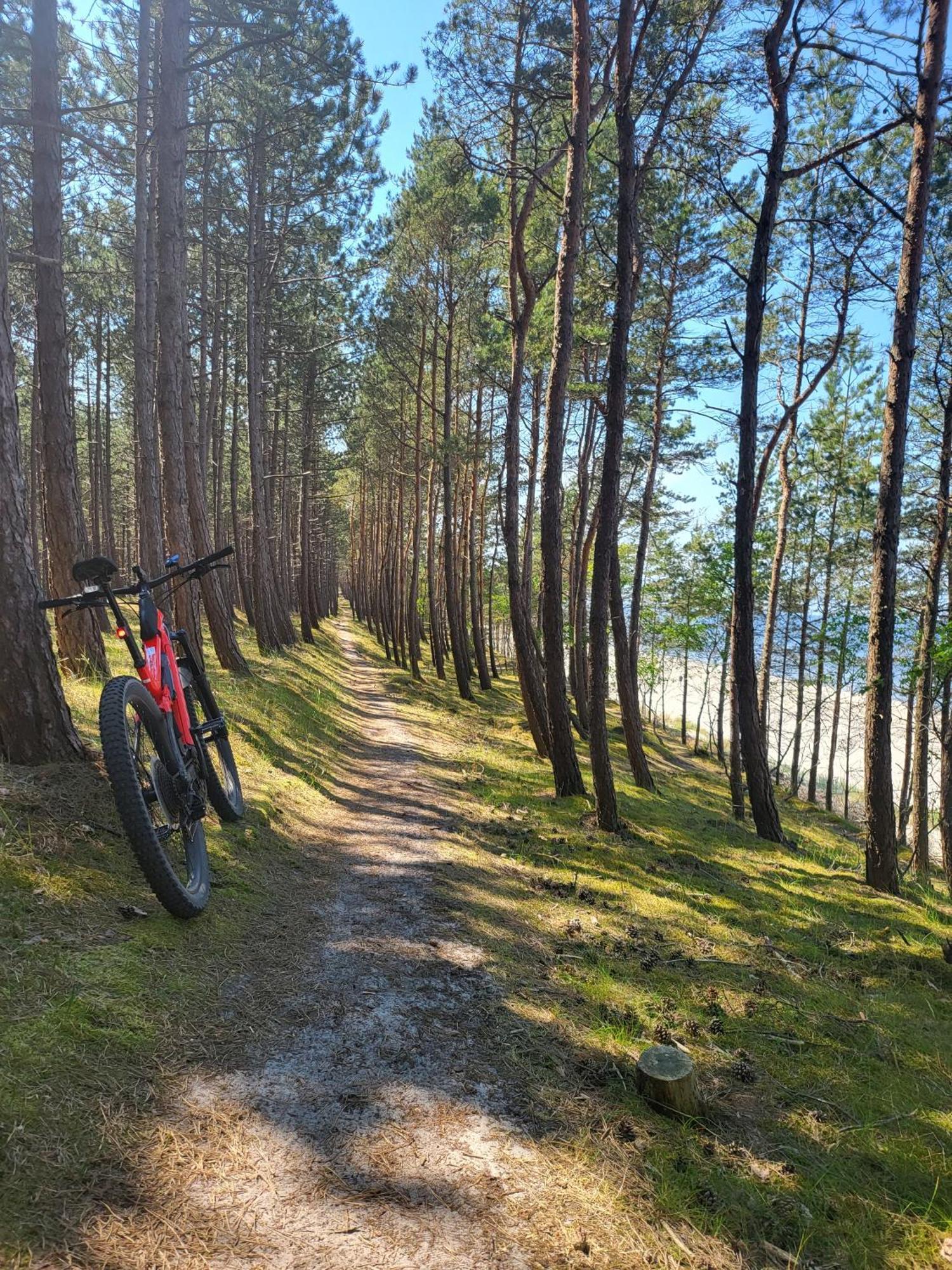 Domki Skowronki Kąty Rybackie エクステリア 写真