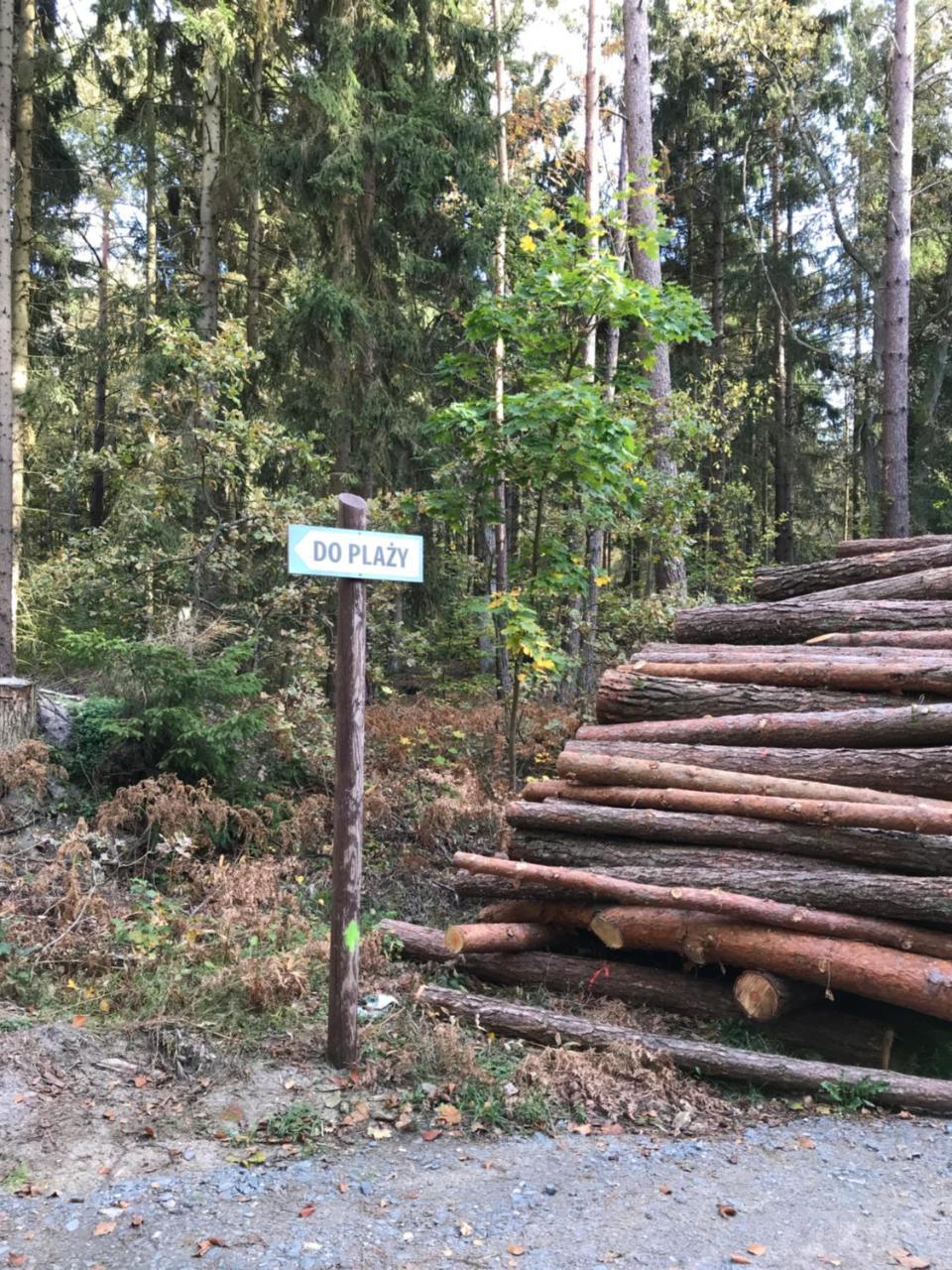 Domki Skowronki Kąty Rybackie エクステリア 写真